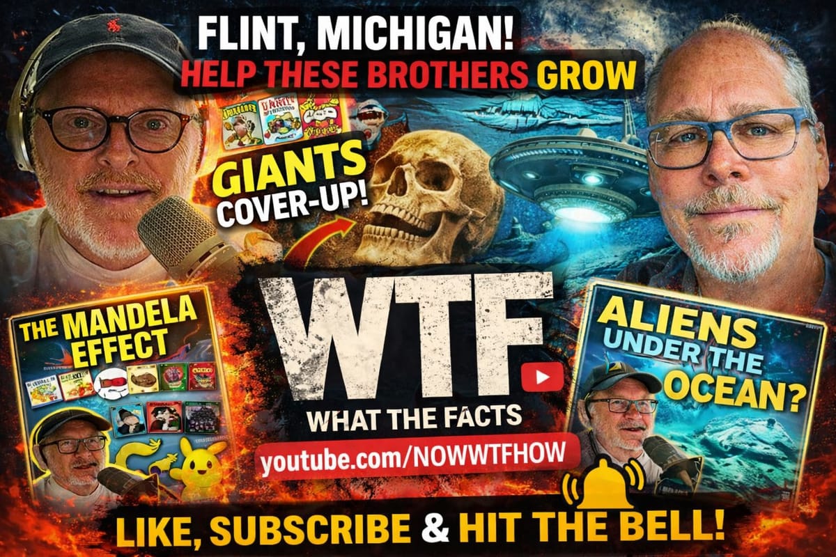Welcome to WTF: What The Facts.